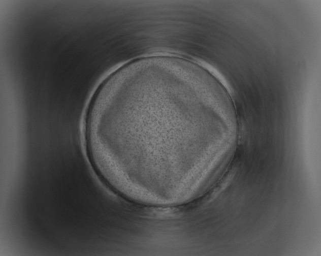 X0000100901003200807151114