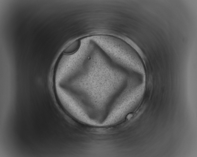 X0000100901005200807151114