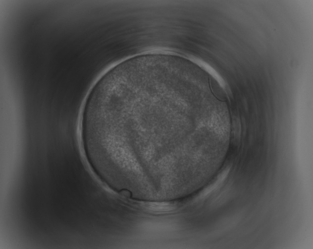 X0000100901007200807151114