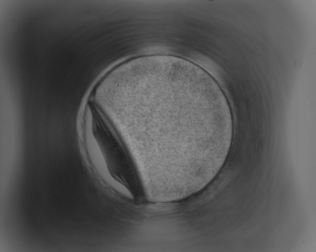 X0000100901008200807151114