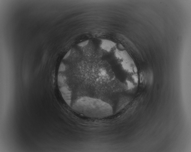 X0000100901011200807151113