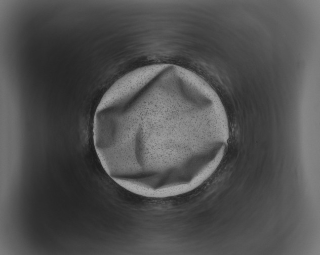 X0000100901012200807151113