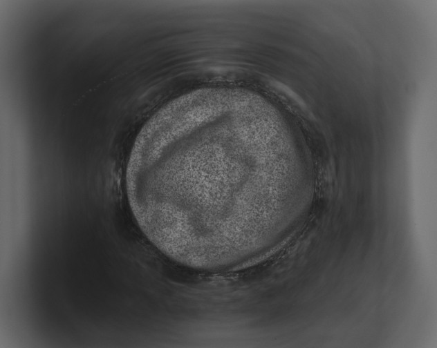 X0000100901013200807151113