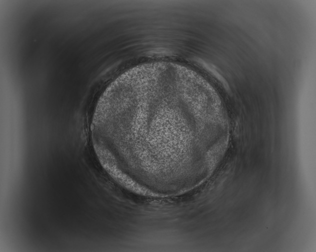 X0000100901015200807151113