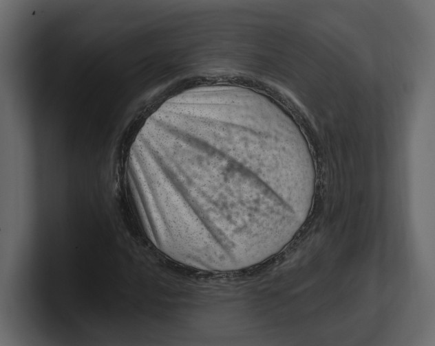 X0000100901016200807151113