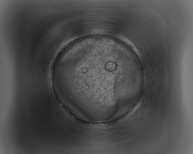 X0000100901019200807151113