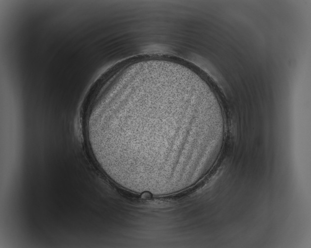 X0000100901022200807151113