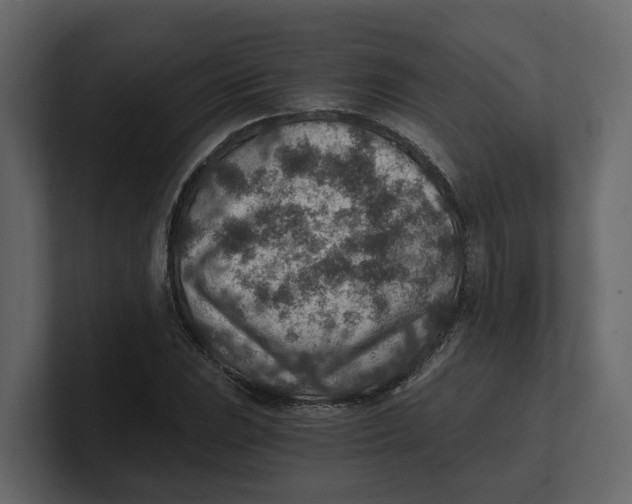 X0000100901023200807151113