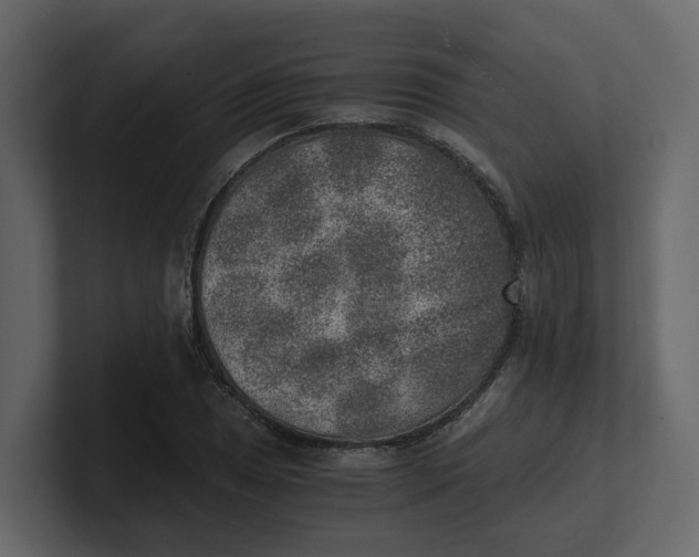 X0000100901025200807151114