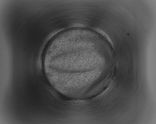 X0000100901027200807151114