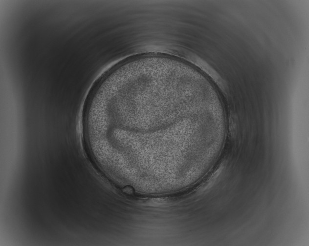 X0000100901028200807151114