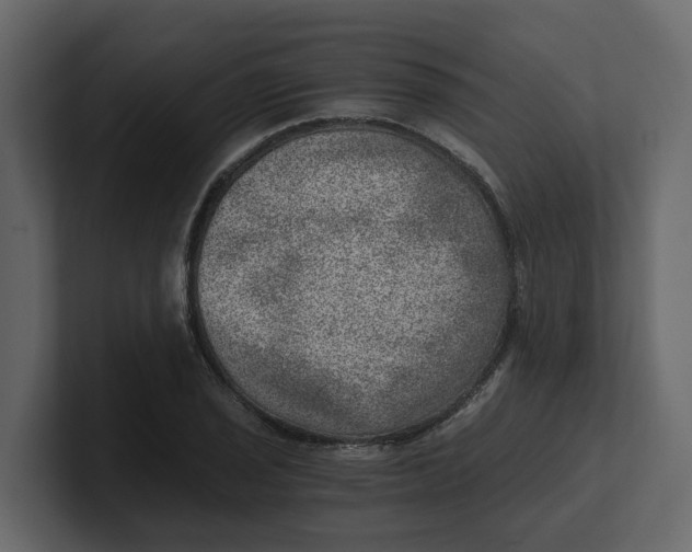 X0000100901029200807151114