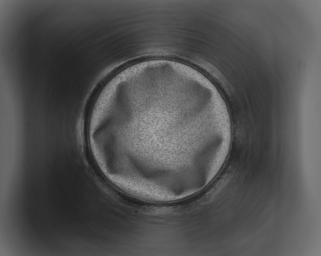 X0000100901030200807151114