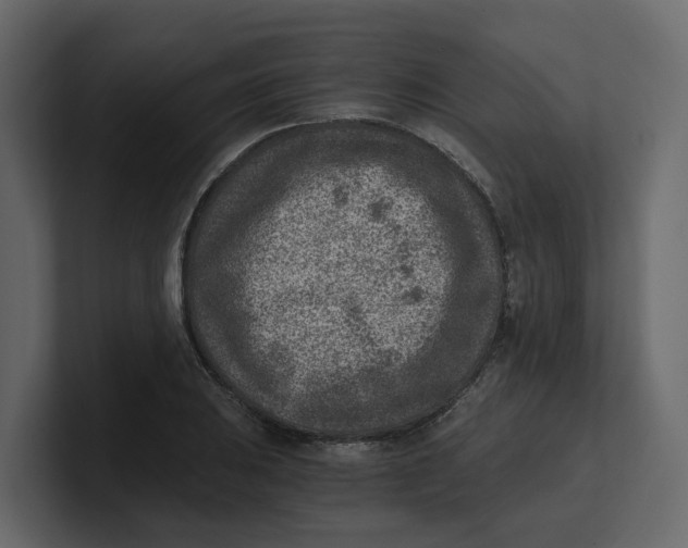 X0000100901031200807151114