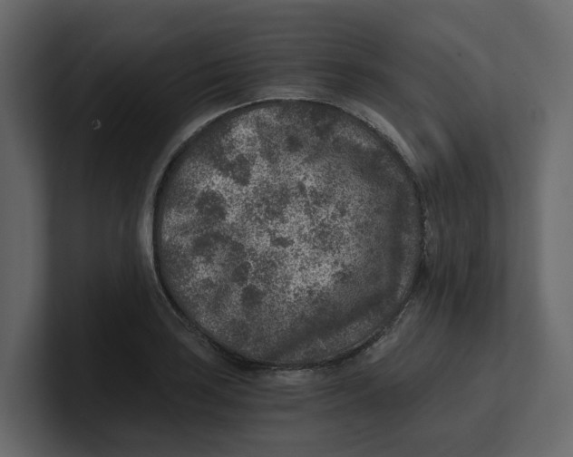 X0000100901035200807151114