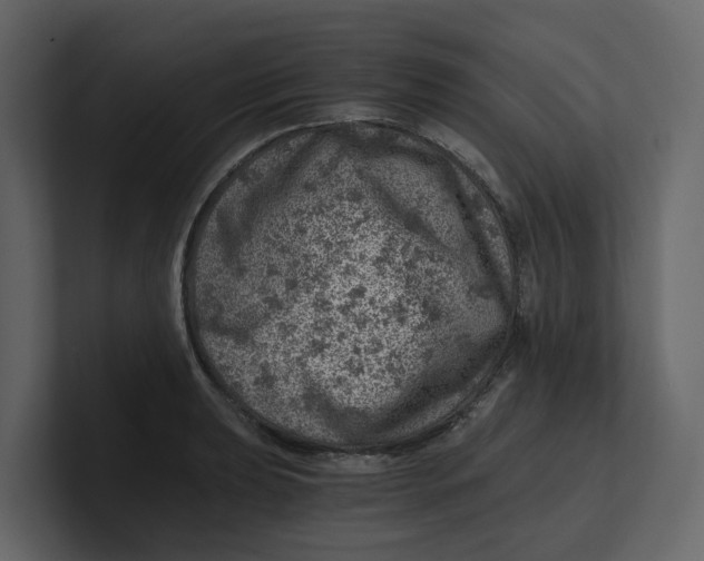 X0000100901039200807151114