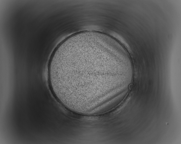 X0000100901040200807151114