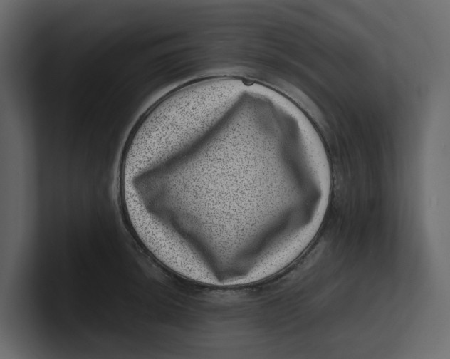 X0000100901044200807151114