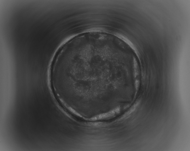 X0000100901045200807151114