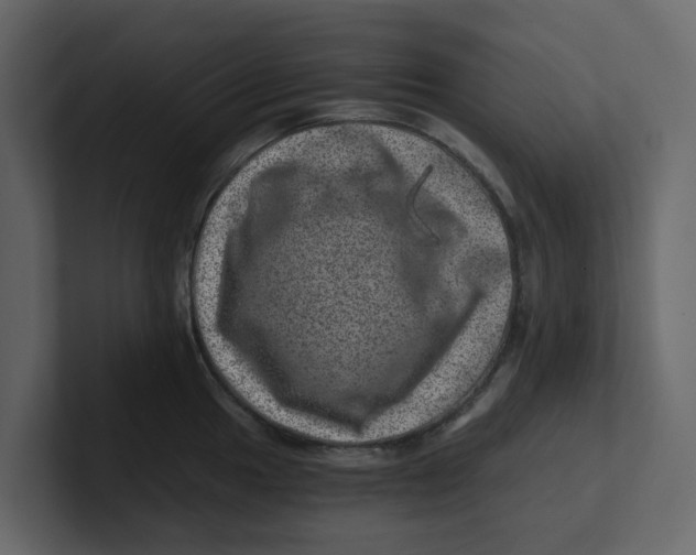 X0000100901049200807151114