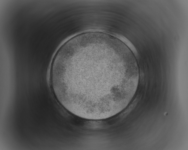 X0000100901052200807151114