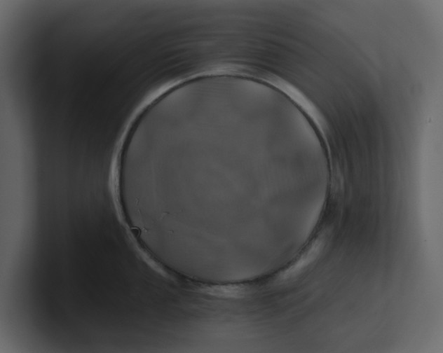 X0000100901053200807151114