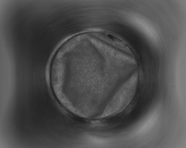 X0000100901054200807151114