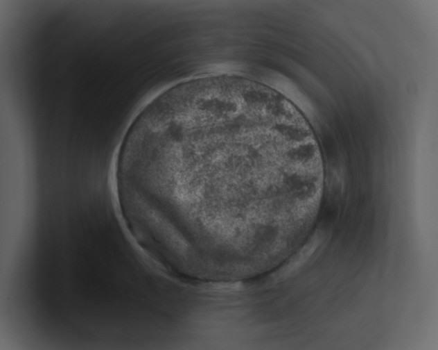 X0000100901055200807151114