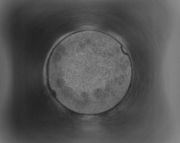 X0000100901056200807151114