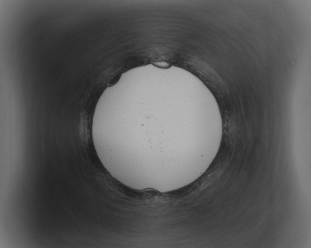 X0000100901058200807151113