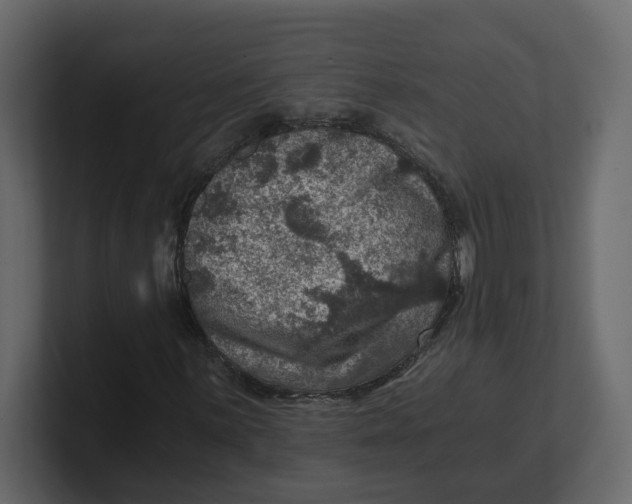 X0000100901059200807151113