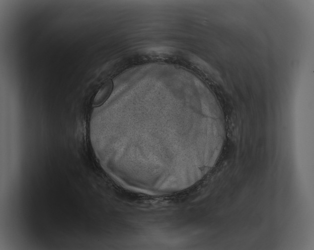 X0000100901061200807151113