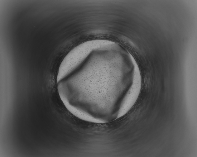 X0000100901062200807151113