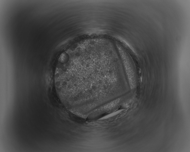 X0000100901063200807151113