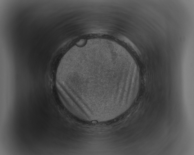 X0000100901064200807151113