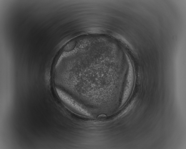 X0000100901065200807151113