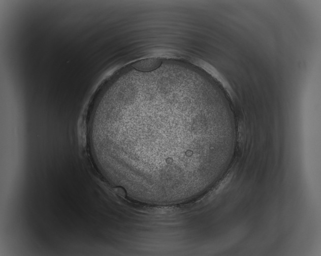 X0000100901067200807151113