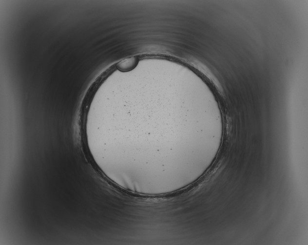 X0000100901068200807151113