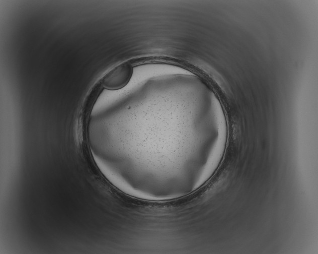 X0000100901069200807151113