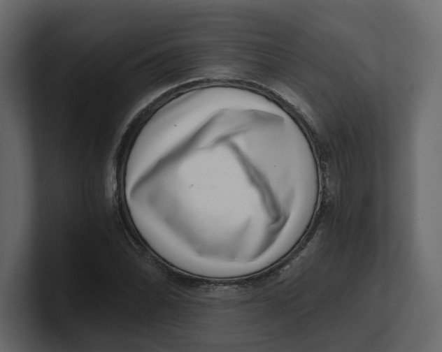 X0000100901070200807151113