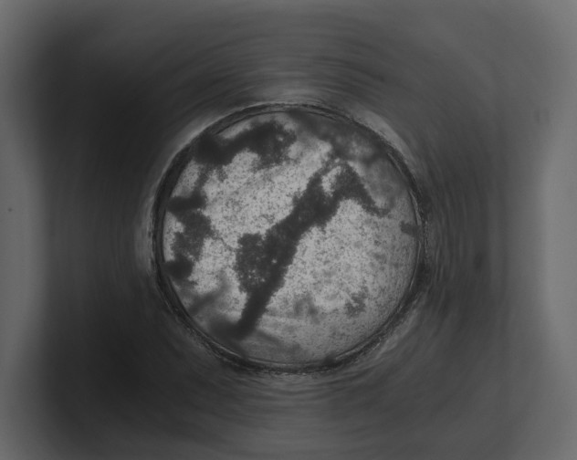 X0000100901071200807151113