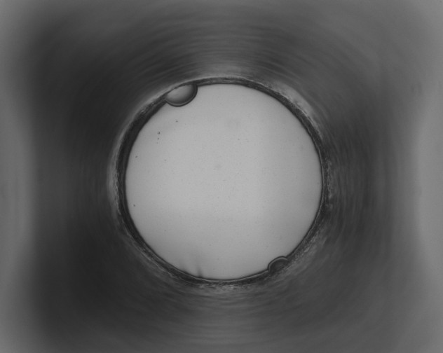 X0000100901072200807151113