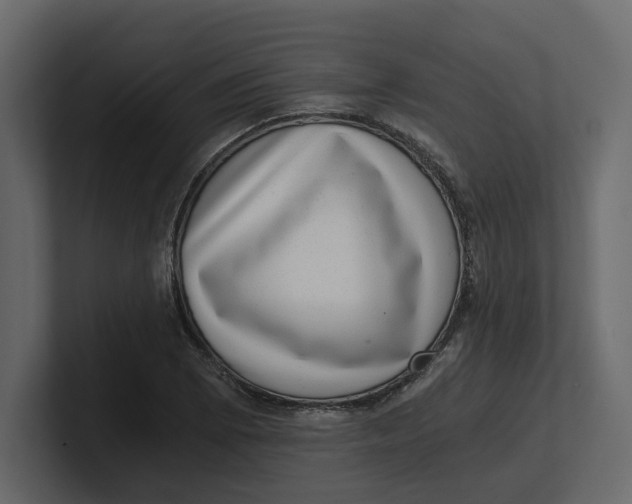 X0000100901073200807151113