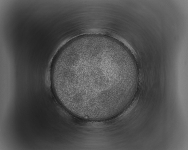 X0000100901075200807151113