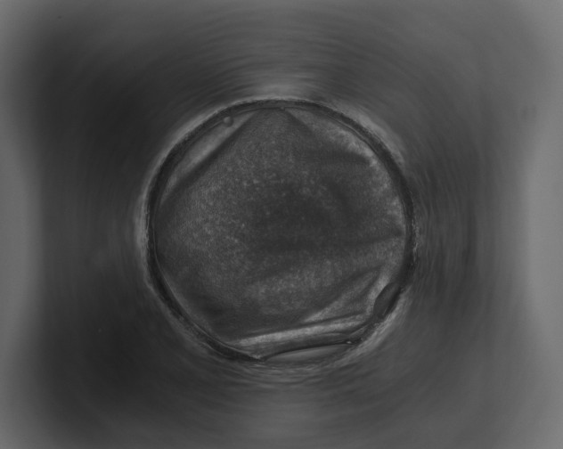 X0000100901077200807151113