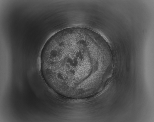 X0000100901079200807151113