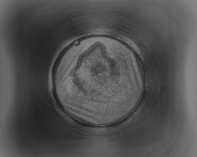 X0000100901080200807151113