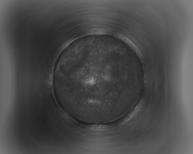 X0000100901081200807151113