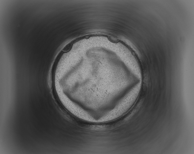 X0000100901082200807151113