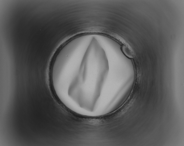 X0000100901085200807151113